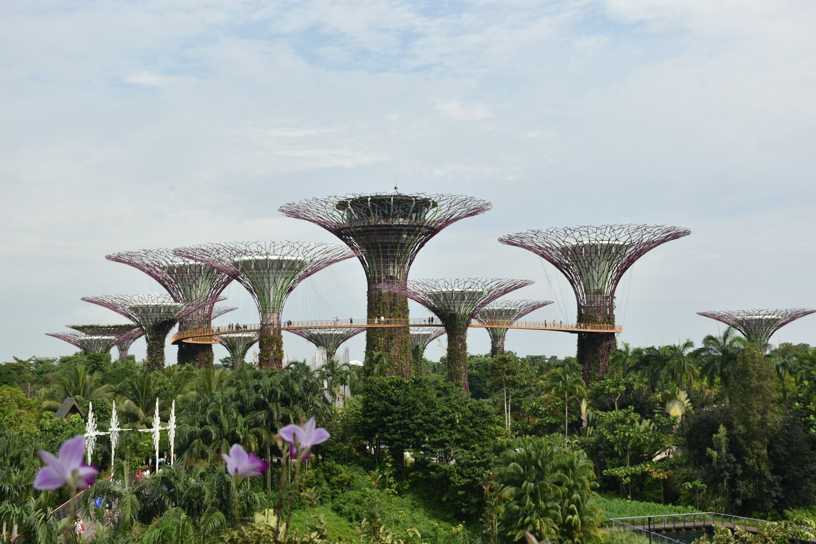 Singapore tropical travel destination